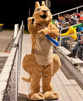 Inspirational Initiatives: How the Suny Mascot is Motivating Students